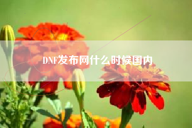 DNF发布网什么时候国内