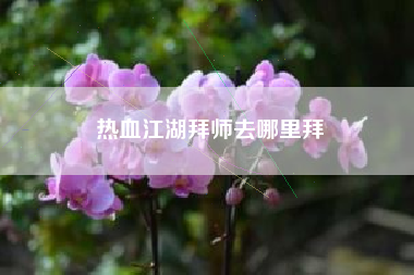 热血江湖拜师去哪里拜