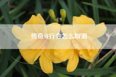 传奇SF行会怎么取消