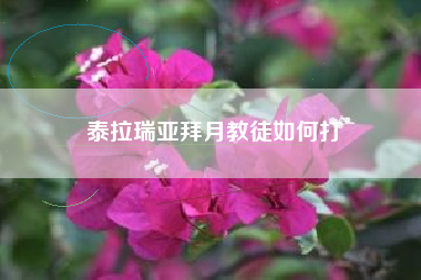 泰拉瑞亚拜月教徒如何打