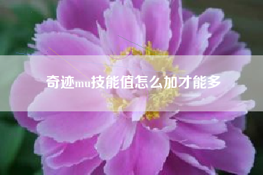 奇迹mu技能值怎么加才能多