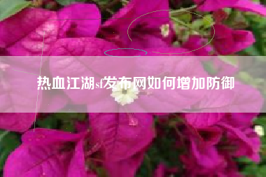 热血江湖sf发布网如何增加防御