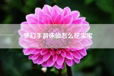 梦幻手游诛仙怎么挖宝宝