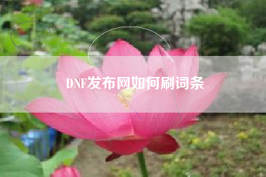 DNF发布网如何刷词条