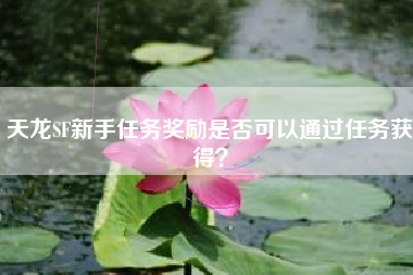 天龙SF新手任务奖励是否可以通过任务获得？