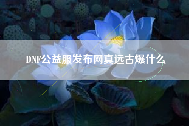 DNF公益服发布网真远古爆什么