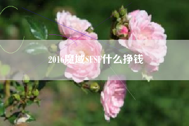 2016魔域SFSF什么挣钱