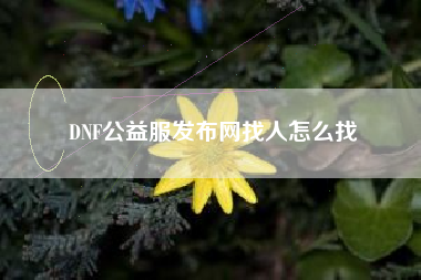 DNF公益服发布网找人怎么找