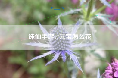 诛仙手游v7元宝怎么花