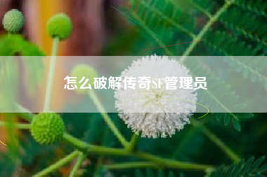 怎么破解传奇SF管理员