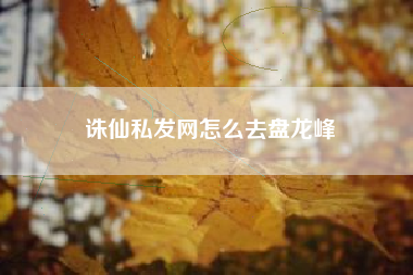 诛仙私发网怎么去盘龙峰