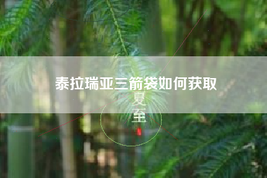 泰拉瑞亚三箭袋如何获取