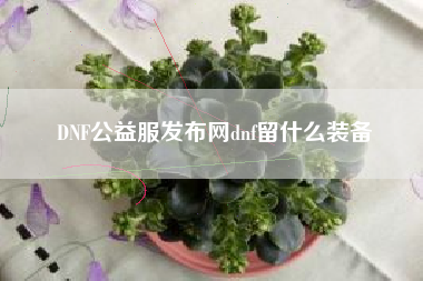 DNF公益服发布网dnf留什么装备