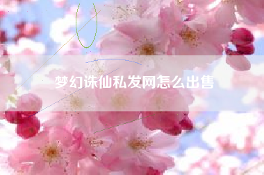 梦幻诛仙私发网怎么出售