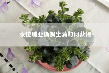 泰拉瑞亚蜥蜴坐骑如何获得