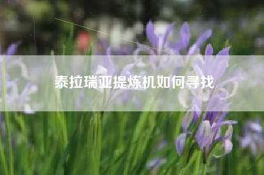 泰拉瑞亚提炼机如何寻找