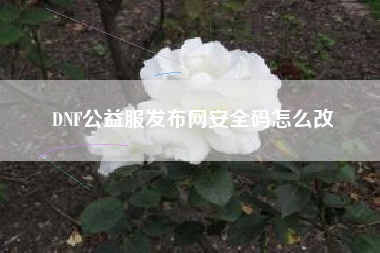 DNF公益服发布网安全码怎么改