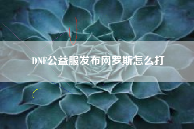 DNF公益服发布网罗斯怎么打