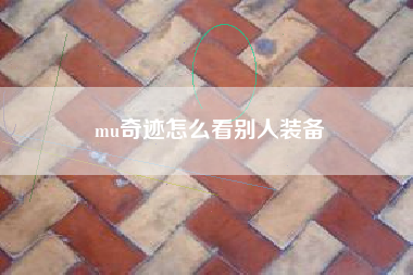 mu奇迹怎么看别人装备