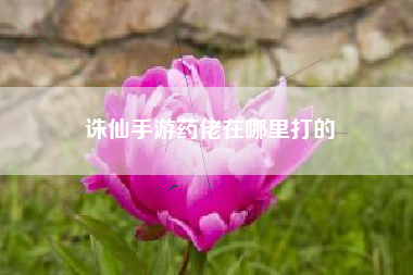 诛仙手游药佬在哪里打的