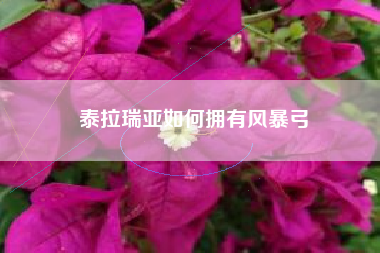 泰拉瑞亚如何拥有风暴弓