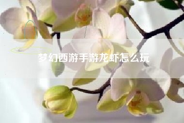 梦幻西游手游龙虾怎么玩