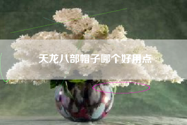 天龙八部帽子哪个好用点