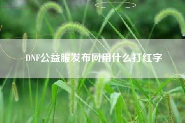 DNF公益服发布网用什么打红字