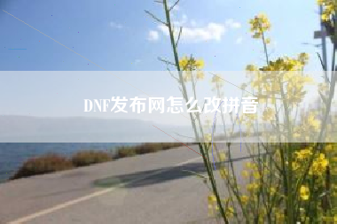 DNF发布网怎么改拼音