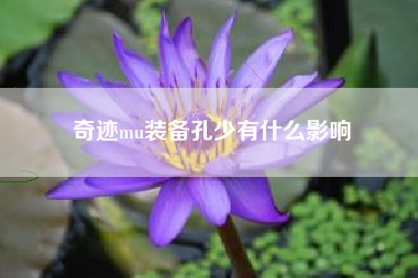 奇迹mu装备孔少有什么影响