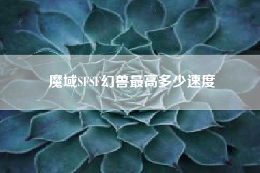 魔域SFSF幻兽最高多少速度