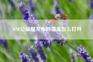 DNF公益服发布网魔盒怎么打开