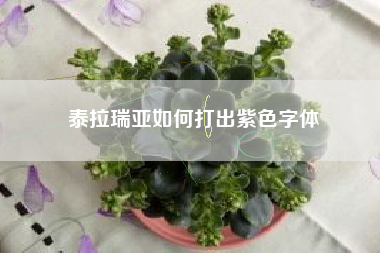 泰拉瑞亚如何打出紫色字体