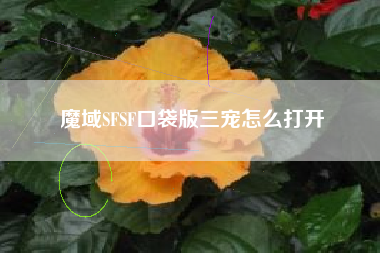 魔域SFSF口袋版三宠怎么打开