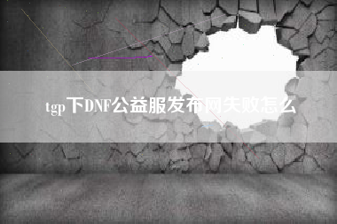 tgp下DNF公益服发布网失败怎么