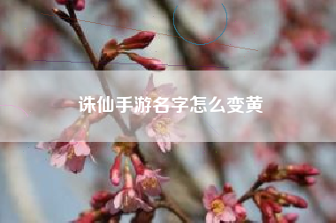 诛仙手游名字怎么变黄