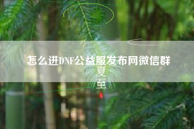 怎么进DNF公益服发布网微信群