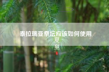 泰拉瑞亚祭坛应该如何使用