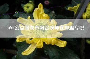 DNF公益服发布网召唤师在哪里专职