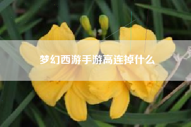 梦幻西游手游高连掉什么