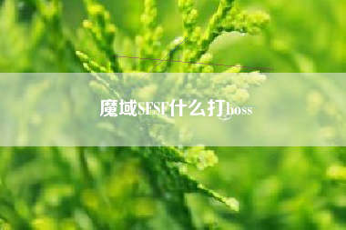 魔域SFSF什么打boss