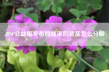 DNF公益服发布网继承的装备怎么分解