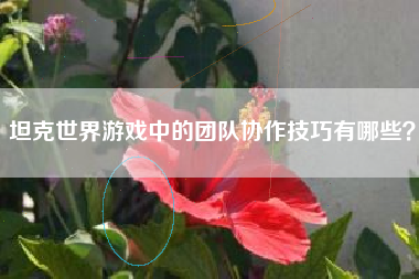 坦克世界游戏中的团队协作技巧有哪些？