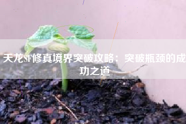 天龙SF修真境界突破攻略：突破瓶颈的成功之道