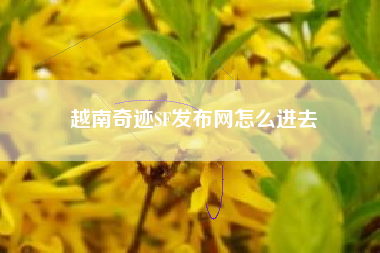 越南奇迹SF发布网怎么进去