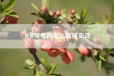 DNF发布网怎么转移史诗