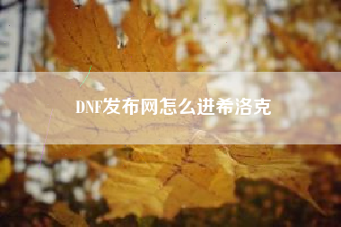 DNF发布网怎么进希洛克