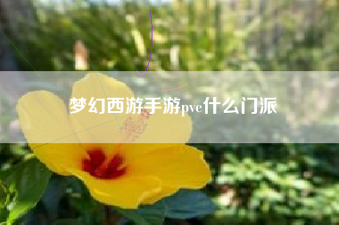 梦幻西游手游pve什么门派