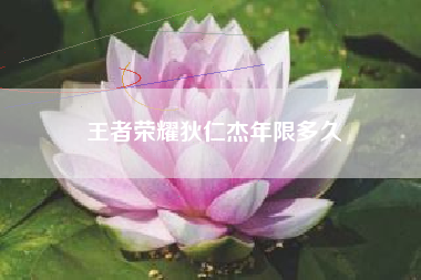 王者荣耀狄仁杰年限多久