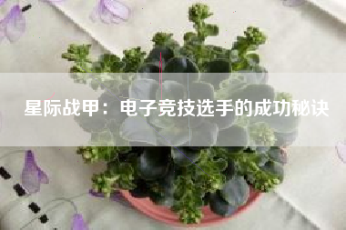 星际战甲：电子竞技选手的成功秘诀